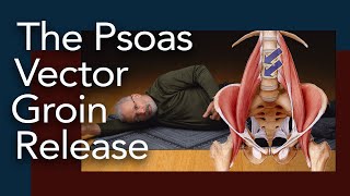 Psoas Vector Groin Release Somatics for a tight psoas muscle [upl. by Atnicaj472]