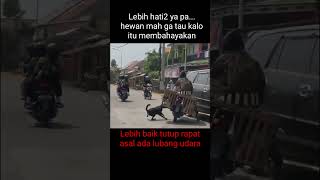 Lompat dari motor viral trending cctv trendingshorts fyp fypシ゚viral fypage tiktok [upl. by Maiah]