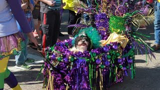 Krewe of Barkus Parade 2023 New Orleans La [upl. by Alisan508]