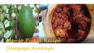 Mango PickleMamidikaya Avakaya Brahmins StyleWithout GarlicTraditionalampTastyEvergreen Recipe [upl. by Nuawd988]