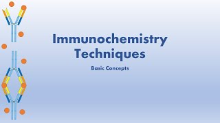 Immunochemistry Basic Concepts [upl. by Beaver881]