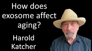 How does exosome affect aging  Harold Katcher [upl. by Pasadis]