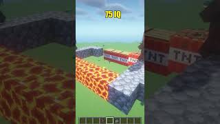 Vindicator IQ Test in Minecraft minecraft [upl. by Marwin]