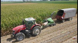 Chopping Corn Silage amp Filling Silo with Massey Ferguson Tractors [upl. by Jeramey]