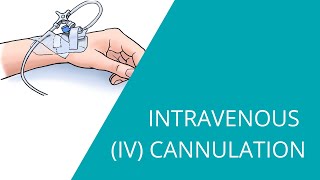 Intravenous IV Cannulation  how to prepare and insert an intravenous fluid line [upl. by Iives]