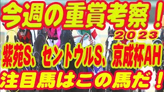 【 今週の重賞考察！】紫苑ステークス、セントウルステークス、京成杯AHの考察！M氏の注目馬を馬券期待値（SからEの６段階）で発表！今週の馬券期待A以上の馬は！？これを見れば今週の馬券に繋がります！ [upl. by Raseda]