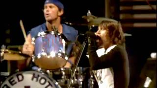 Red Hot Chili Peppers  Parallel Universe  Live at Slane Castle [upl. by Anahsak]