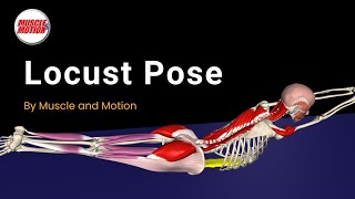 Master the Locust Pose Strengthen Your Back amp Fix Mistakes [upl. by Kulsrud]