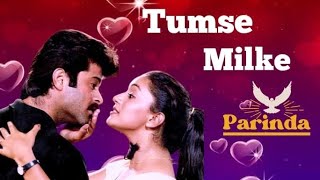 Tumse Milke Aisa Laga l Parinda l Cover By Eshita l Asha Bhosle l Suresh Wadkar l [upl. by Icrad]