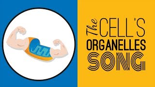 The Cells Organelles SONG  Memorize the Parts of the Cell [upl. by Dart705]