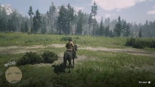 Red Dead Redemption 2  RDR2  PILEATED WOODPECKER  LOCATION  ZOOLOGIST 162 [upl. by Yrffoeg]