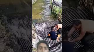 Canal fishing video fishing fishingwithnet fish netfish waterfall netfishing amazing [upl. by Drofiar]