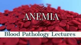 ANEMIA lecture 7 HEMOLYTIC ANEMIA made simple [upl. by Ponzo351]