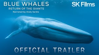 Blue Whales  Return of the Giants  Official Trailer 4K  SK Films [upl. by Akenet]