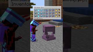 I Created Minecrafts Best Factory lucksmp minecraft smp minecraftsmp [upl. by Widera]