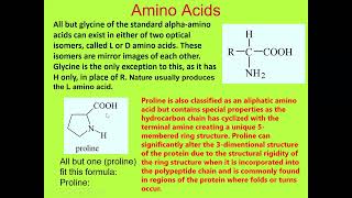 Proteins I Amino acids classification Structure properties Function Role I All in easy language [upl. by Annasus]