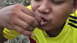 Good Cooking Recipe  Two brothers cooking shrimps with coconut and eating Delicious [upl. by Inaj341]