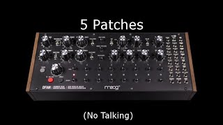 5 Moog DFAM Patches No Talking [upl. by Nelleyram486]