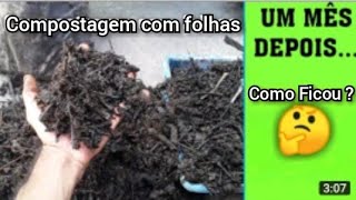 Compostagem com folhas depois de um mês Adubo orgânico com folhas secas [upl. by Ynaffad]