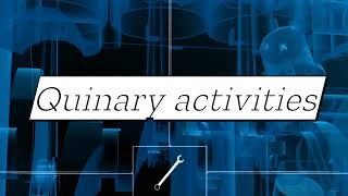 What are Quinary activities What are example of Quinary activities  tertiary quinary activities [upl. by Ahseyi553]