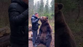 The Bears Weakness Chasing Honey into the Jungle shortvideo facts [upl. by Stultz856]