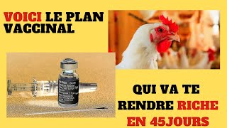 Prophylaxie sanitaire des poulets de chair [upl. by Nhojleahcim]