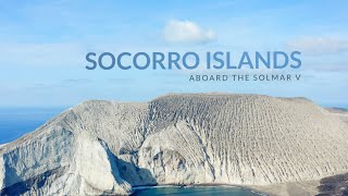 Best of Scuba Diving the Socorro Islands aboard the Solmar V [upl. by Notlrak546]