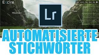 NIE MEHR manuell Stichwörter in Lightroom vergeben [upl. by Dnalhsa]