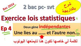 lois statistiques dihybridisme  indépendante une autosomale et lautre portée par chromosome X [upl. by Inittirb]