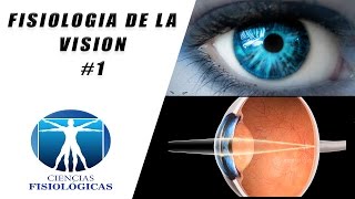 Fisiologia de la Vision 1 [upl. by Salangia383]