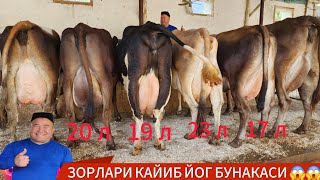 СИНАХТА СУТИ КОП КАЙМОГИ КОП СИГИРЛАР  5окт 2024 [upl. by Onifur]