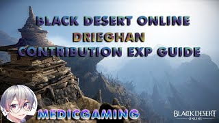 Black Desert Online BDO Daily Quest Guide Contribution EXP from Drieghan Daily Quest [upl. by Baerman]