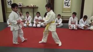 Aikido Training Center children s class demonstration [upl. by Ativla]