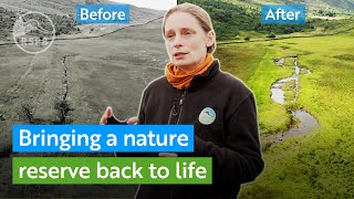 Helping nature restore itself  Bringing a river back to life  RSPB [upl. by Eekcaj]