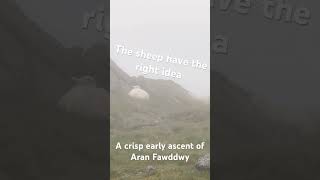 An early and stormy ascent of southern snowdonias highest point shorts wales [upl. by Aihsad]