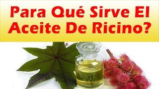 Para Que Sirve El Aceite De Ricino ACEITE DE RICINO USOS Para La Piel Cabello Laxante Artritis y Mas [upl. by Dann766]