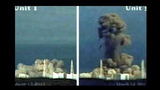 Why Tepco Not Use Boron to Slow Down the Fission at Fukushima Rense Durnford Yochi [upl. by Filahk454]