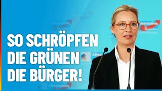 So schröpfen die Grünen die Bürger  Alice Weidel  Pressekonferenz [upl. by Brianne]