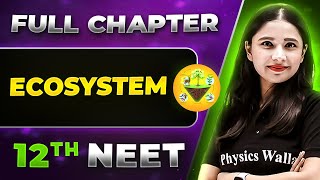 Ecosystem FULL CHAPTER  Class 12th Botany  Lakshya NEET [upl. by Zales]