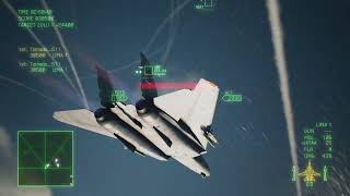 Ace Combat 7 Round Battle Royale  F14ATGM [upl. by Arrec]