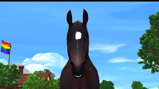 Broken Horses star stable glitch [upl. by Ausoj976]