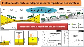 influence des facteurs édaphiques sur la répartition des végétaux TCSF شرح بالداريجة [upl. by Desma97]