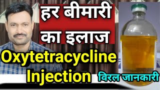 Oxytetracycline Injection Veterinary uses ऑक्सीटेटरासाइक्लिन इंजेक्शन का पशु चिकित्सा में उपयोग [upl. by Hareehat]