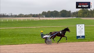 Qualifications Grosbois  Trot attelé  Lot 3 du 181024 [upl. by Farah]