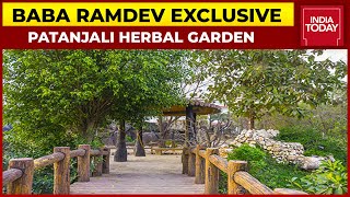 Inside Baba Ramdevs Patanjali Herbal Garden That Consists 1000 Plants And Trees  Business Today [upl. by Terry]