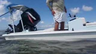 FLORIDA PERMIT FISHINGBISCAYNE BAY ISLAMORADA FLORIDA KEYS [upl. by Adnaloy]