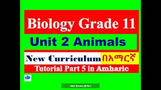 New Curriculum Biology Grade 11 Unit 2 Animals Tutorial Part 5 in Amharic [upl. by Jedthus58]