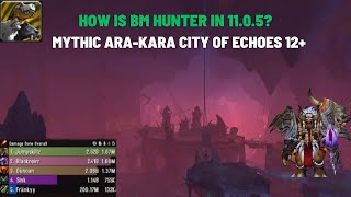 How Is BM Hunter in 1105 Mythic AraKara City Of Echoes 12 WorldofWarcraft WarWithin [upl. by Diane-Marie727]