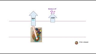 Bulk Flow and Involved Pressures [upl. by Barcot]