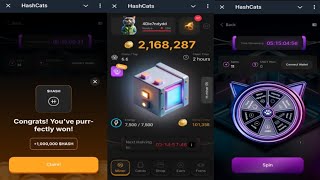 HashCats  New Feature Helps You Earn More HASH Coins Faster  Come Join Me  Telegram Crypto Bot [upl. by Attem]